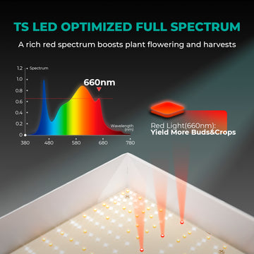 Mars Hydro TSL 2000 300W LED élèvent des lumières lampe de croissance de plantes à fleurs végétales culture hydroponique